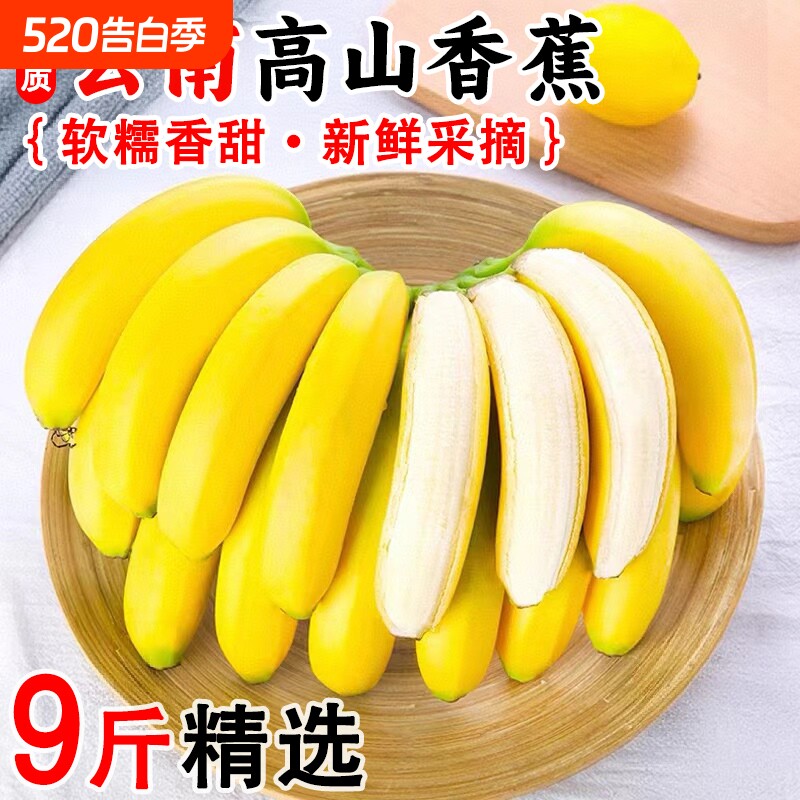 云南高山甜蕉新鲜水果香蕉产地直发青蕉发货大香蕉新鲜现砍现发