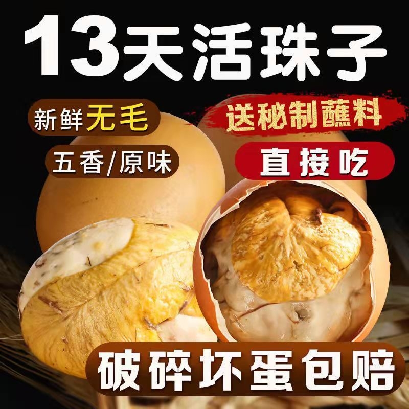 五香香辣13天活珠子鸡胚蛋香辣钢化蛋毛胚蛋原味即食