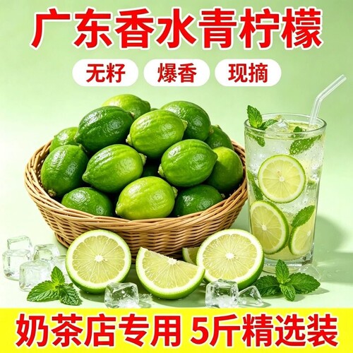 广东无籽香水青柠檬奶茶店专用一级果爆香柠檬茶新鲜鲜果当季手打