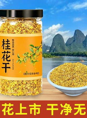 广西桂林古树金桂花泡茶烹饪