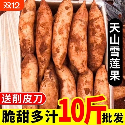 云南天山雪莲果红心新鲜特级一级