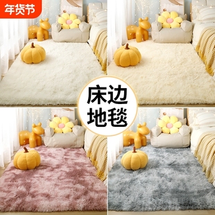 地毯地垫卧室毛毯床边毯新款家用坐垫少女房间客厅茶几毯沙发阳台