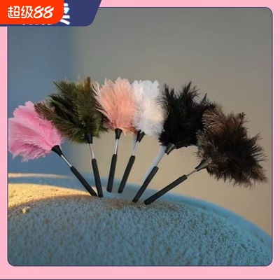 鸵鸟毛掸子家用桌面装饰室内打扫可水洗防静电除尘鸡毛可伸缩