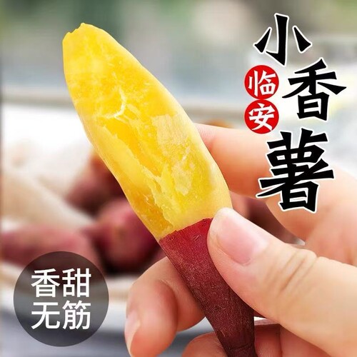 正宗天目山小香薯5斤板栗红薯拇指番薯地瓜迷你小山芋新鲜糯早餐