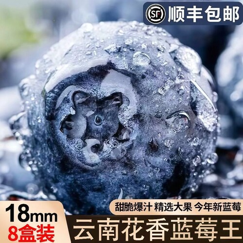 云南蓝莓高山L25花香新鲜水果现摘现发应季孕妇辅食包邮大果当季