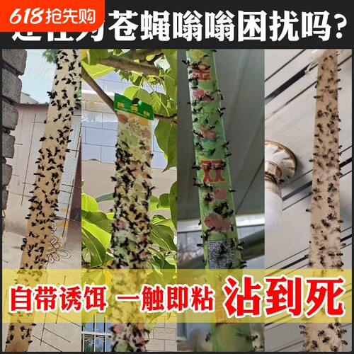 【送灭蝇王】一扫光诱杀苍蝇贴