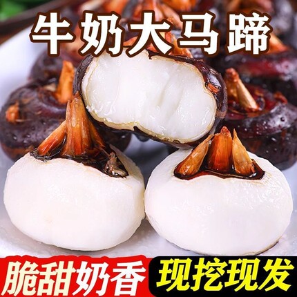 马蹄荸荠新鲜大果现挖3/5斤农家自种当季地栗蔬菜水果脆甜多汁