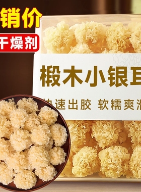 【新货】椴木小银耳批发古田新鲜无熏硫白木糯雪耳百合银耳羹