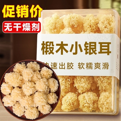 【新货】椴木小银耳批发古田新鲜无熏硫白木糯雪耳百合银耳羹