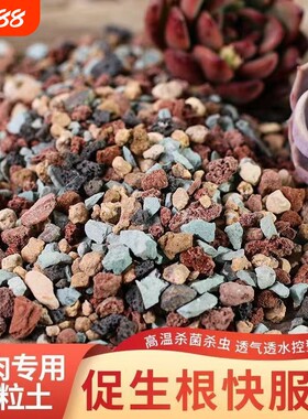 多肉专用颗粒土纯颗粒土多肉土营养土彩虹石养花小石子植物土壤