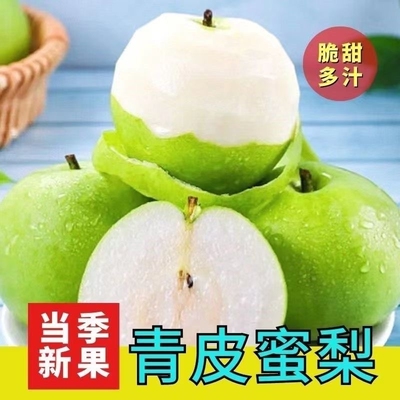 现摘砀山青梨酥脆一号皇冠梨10斤新鲜梨子水果翠冠梨香酥雪梨青皮