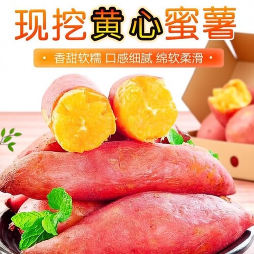 红薯番薯地瓜新鲜黄心红薯农家沙地黄心农家自种现挖黄心香薯山芋