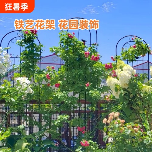 户外铁艺花园栅栏架|万人加购
