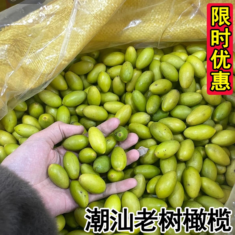 广东潮汕特产新果青橄榄新鲜现摘橄榄果青果孕妇水果煲汤煮水