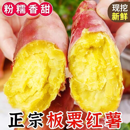 正宗板栗红薯新鲜现挖沙地蜜薯9斤农家自种糖心地瓜山芋小番薯