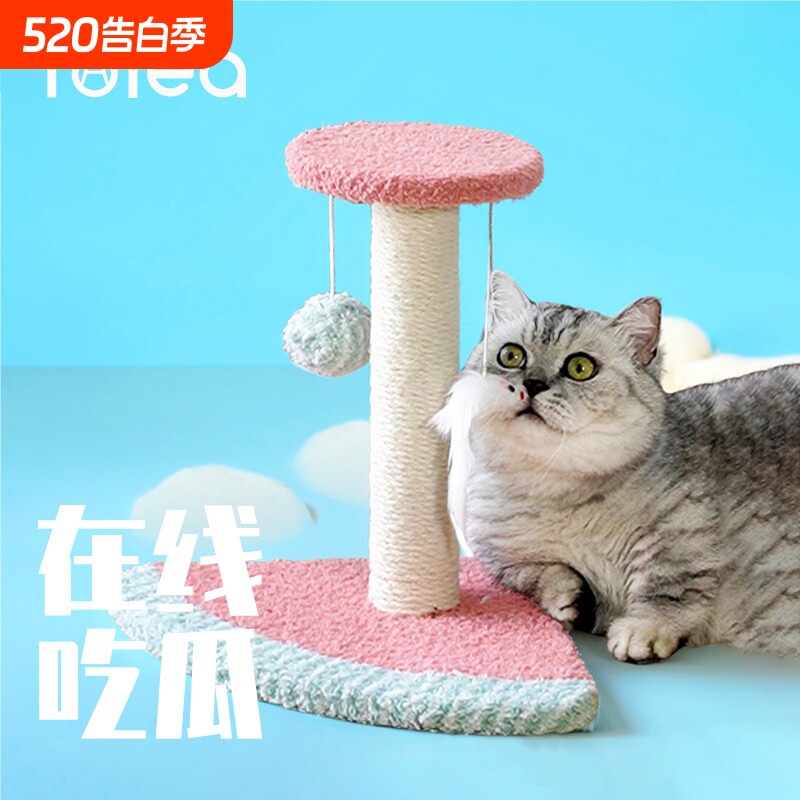 Tolea/二狸小型猫爬架猫抓柱一体迷你猫架子幼猫玩具小户型不占