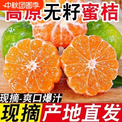 云南青皮橘子新鲜薄皮小蜜桔皮
