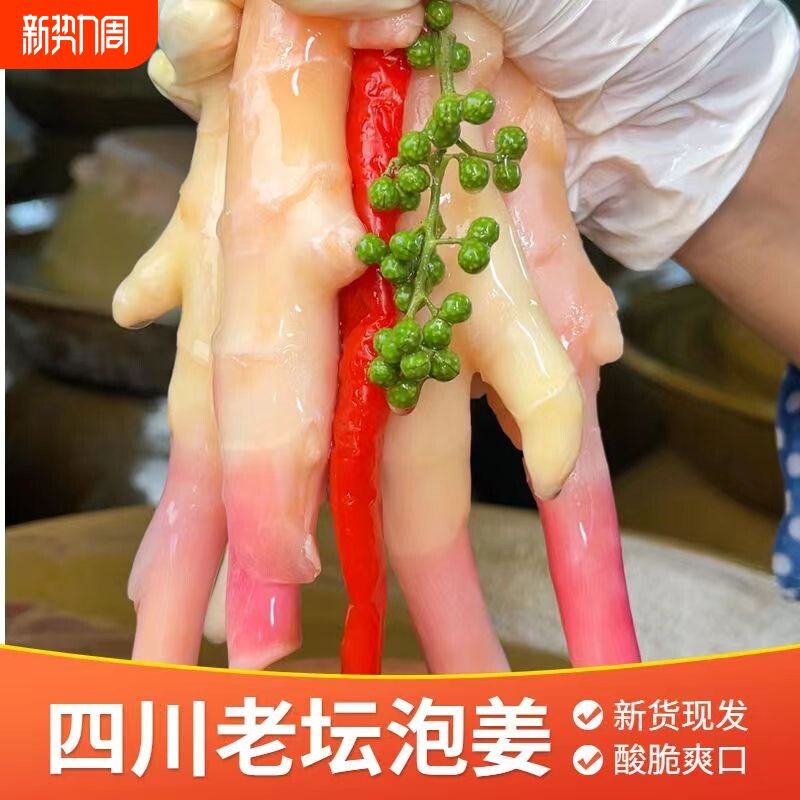 森牛家四川正宗老坛泡菜泡仔姜脆爽下饭搭配做菜酸辣开胃450g