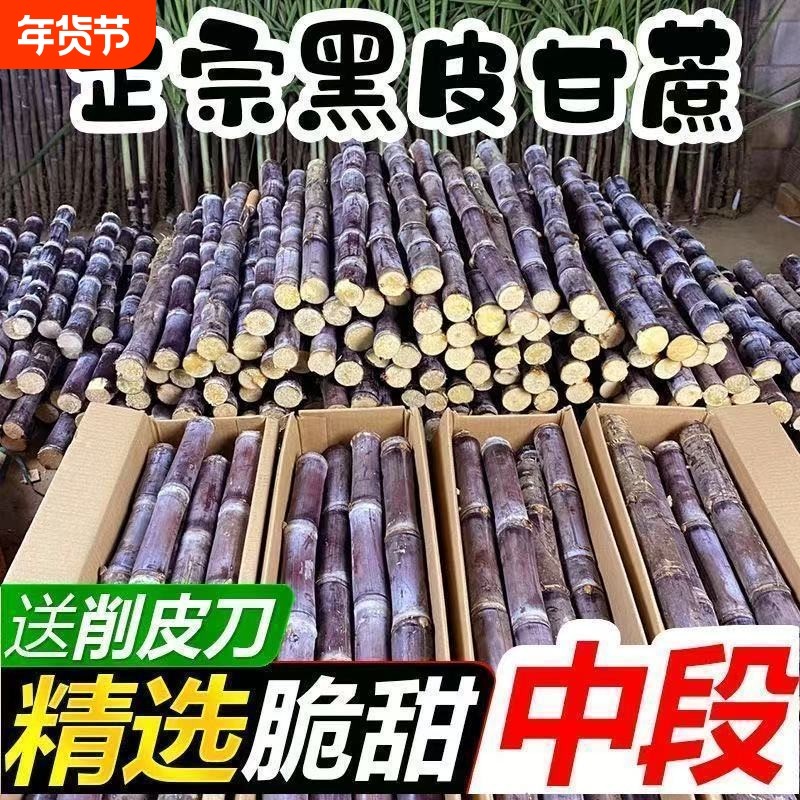 广西正宗黑皮甘蔗新鲜当季水果甘蔗现砍现发果园包邮直发脆甜多汁,水产肉类/新鲜蔬果/熟食,其它,淘宝优惠券,粉丝福利购,淘宝优惠卷