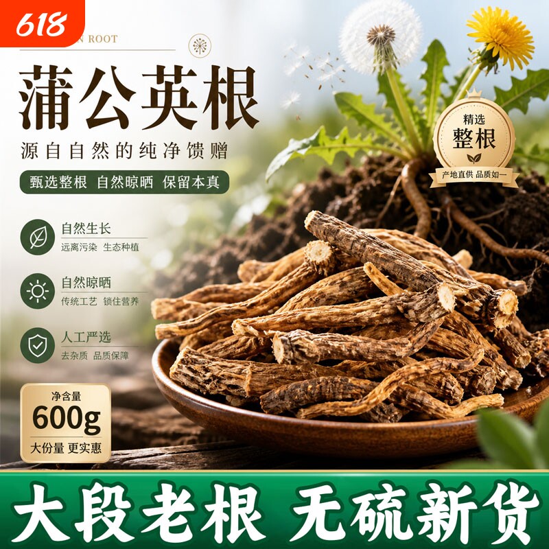蒲公英根茶长白山正品泡水喝茶新鲜浦公英官方旗舰店散装养生茶