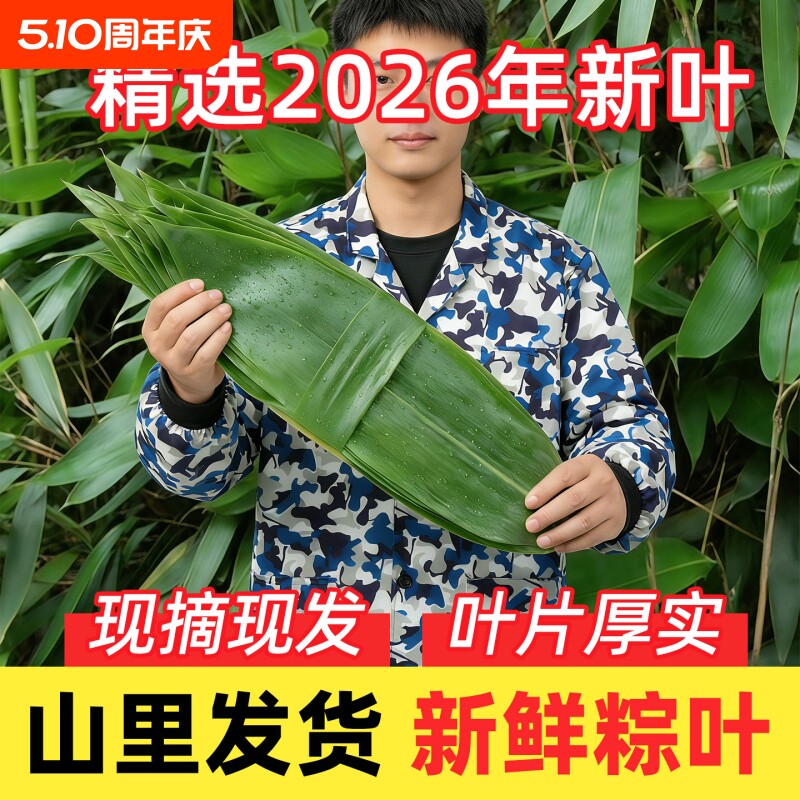 粽叶新鲜粽子叶大号真空家用商用竹叶包粽子专用粽叶干特大非芦苇