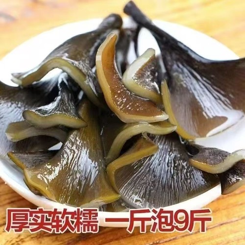 福建霞浦海带头500g干货特产厚海带根风干煲汤带头干海带