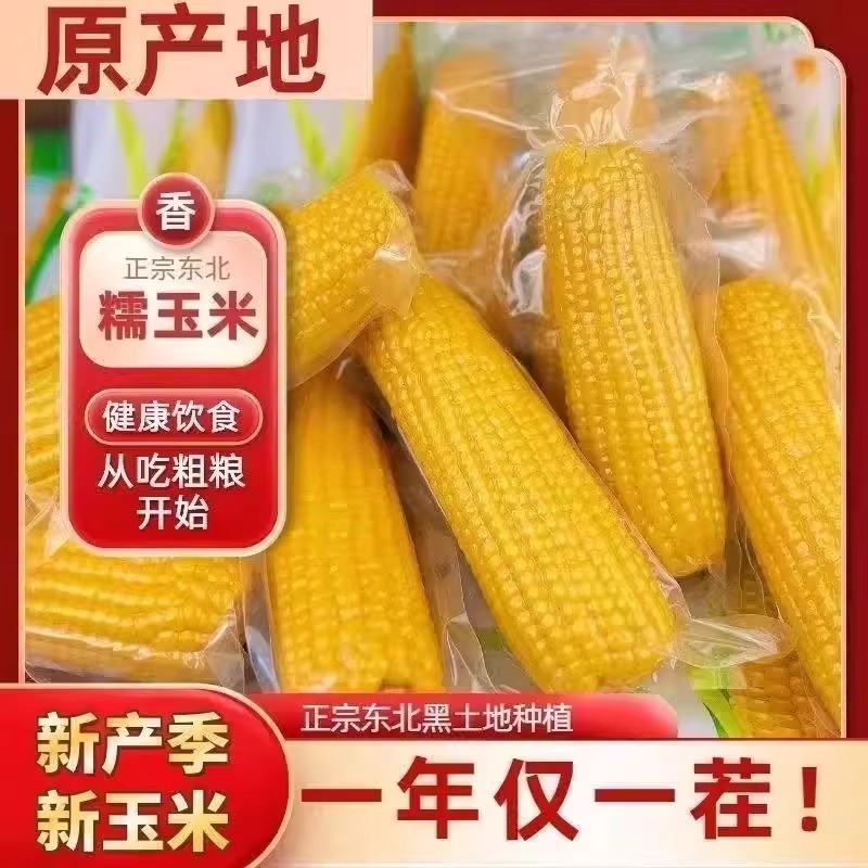 东北黄糯玉米棒真空包装苞米现摘新鲜甜软糯粗粮代餐低脂黄糯玉米,粮油调味/速食/干货/烘焙,玉米,淘宝优惠券,粉丝福利购,淘宝优惠卷