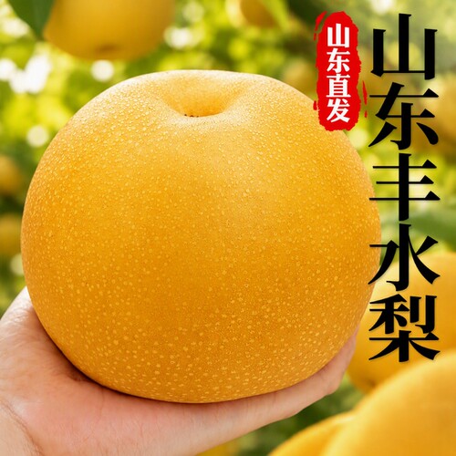 正宗山东丰水梨现摘现发新鲜水果秋月当季冰糖雪梨子大果整箱