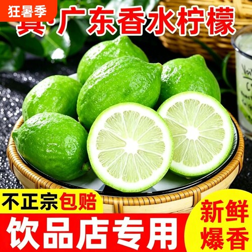 广东 正宗香水青柠檬3斤二级新鲜水果柠檬精选柠檬奶茶店专用批发
