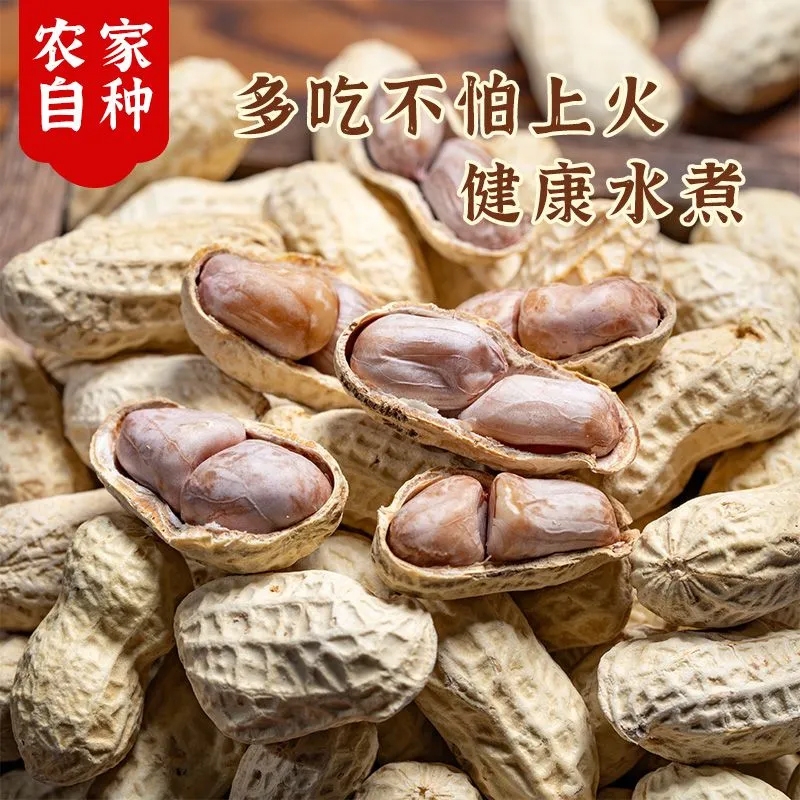 龙岩花生水煮白晒花生零食蒜香花生薄皮休闲正宗原味炒货香酥坚果