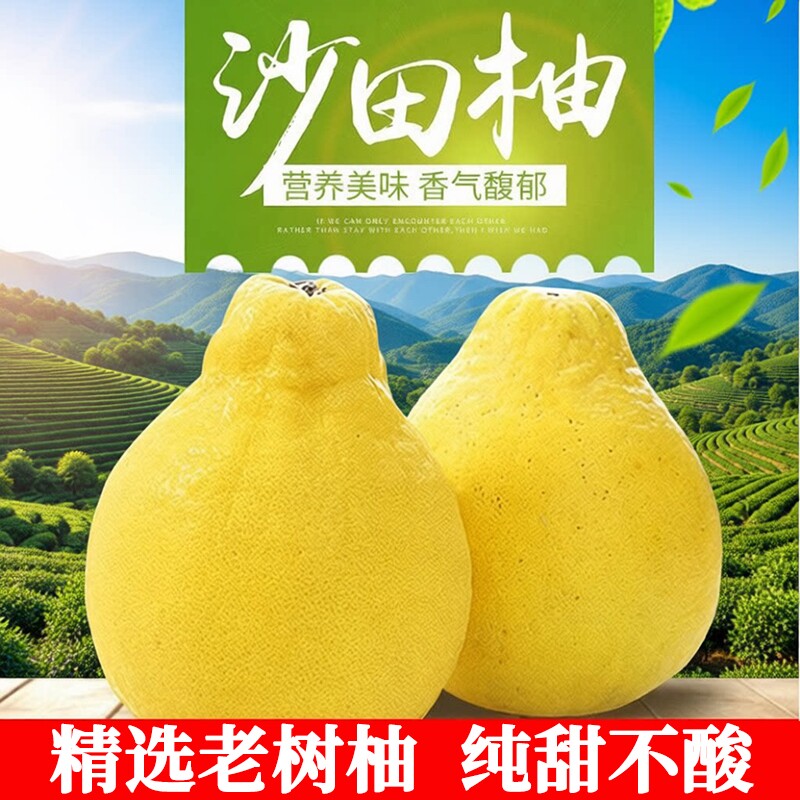 包邮正宗梅州沙田柚广东金柚柚子纯甜白心肉孕妇当季新鲜水果整箱