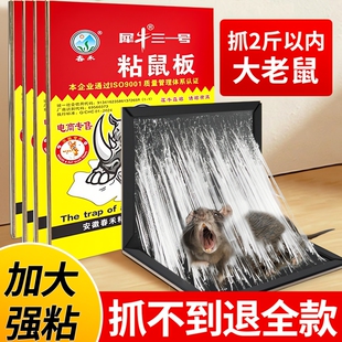 30张老鼠贴强力粘鼠板捕鼠神器抓大老鼠扑捉器家用鼠笼夹子超强胶