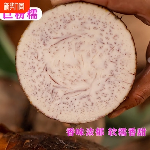 广西荔浦新鲜大芋头槟榔芋现挖现发毛芋头粉糯丝滑香芋种植软糯