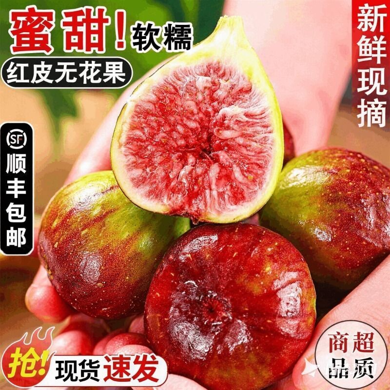 云南无花果鲜果红皮当季新鲜孕妇水果青紫红熟大果熟果顺丰包邮