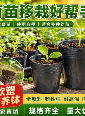 营养钵育苗袋一次性育苗杯花盆种植盆塑料园艺花卉种子苗木杯扦插
