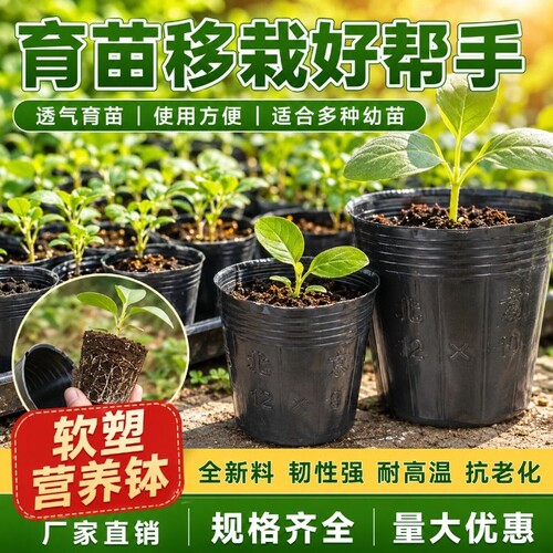 营养钵育苗袋一次性育苗杯花盆种植盆塑料园艺花卉种子苗木杯扦插