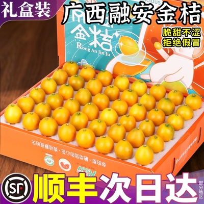 广西融安金桔顺丰速达脆甜不涩口