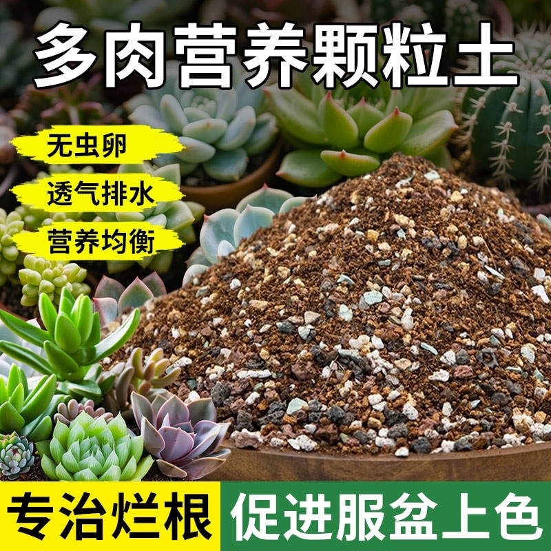 多肉土专用营养土肉肉颗粒土植物种植土铺面石叶插家用泥炭土大包