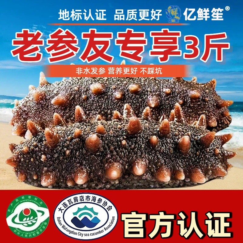 【鲜蒸海参即食】大连大连正宗辽刺参底播品质即食底播刺参30根装