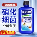 硝化细菌鱼缸用净水剂鱼药养鱼净化水质稳定剂分解鱼粪消化活菌液