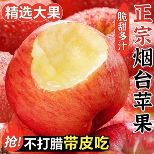 山东烟台红富士苹果大果皮薄脆粉面当季新鲜水果糖心现摘脆甜稀有