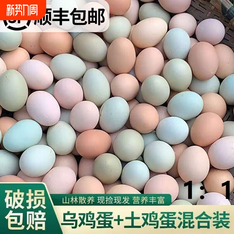 顺丰包邮正宗农家散养土鸡蛋绿壳乌鸡蛋混合装笨鸡蛋柴鸡蛋50枚