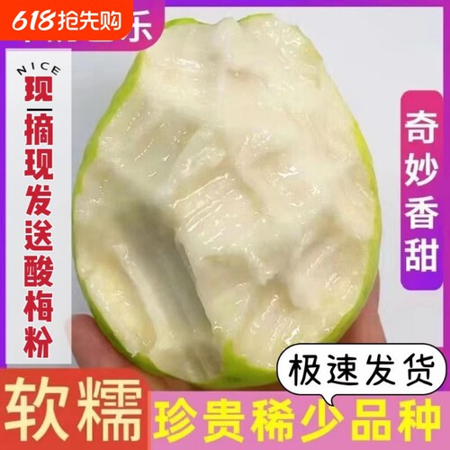 广东软糯奶油芭乐大果新鲜水果