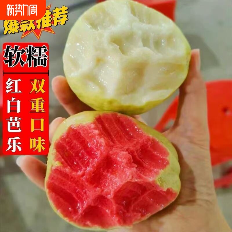 【优质鲜果】芭乐香软黄金芭乐果甜糯番石榴白心冰淇淋奶油口感