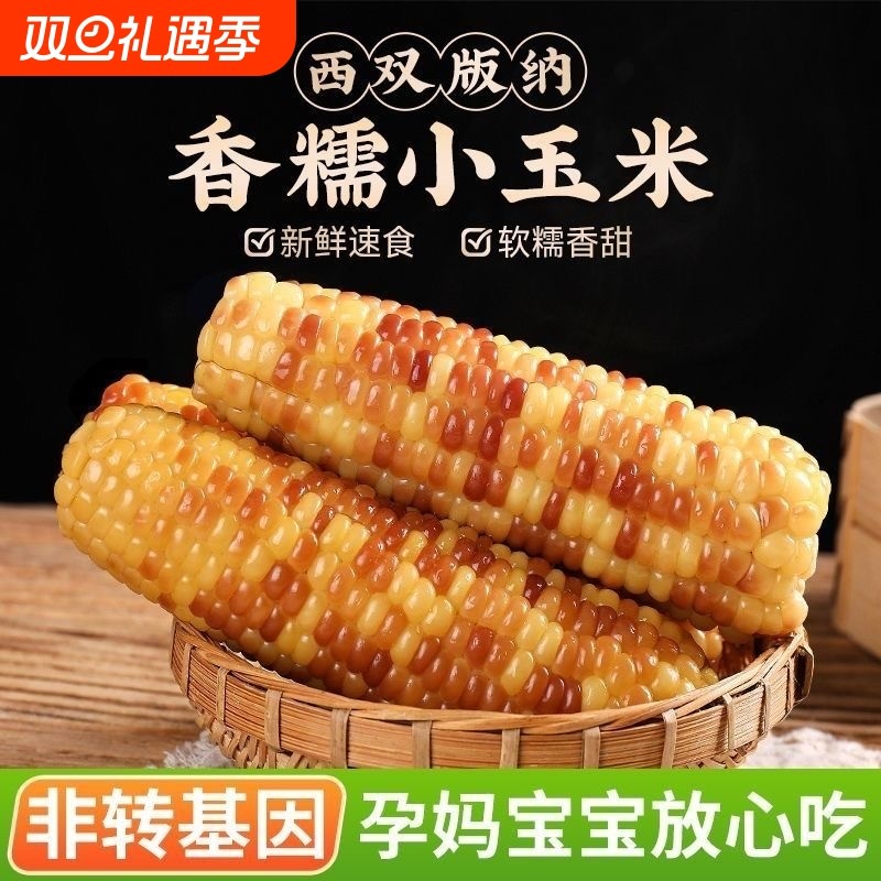 云南西双版纳香糯小玉米新鲜真空加热即食粘糯甜代餐玉米棒速食