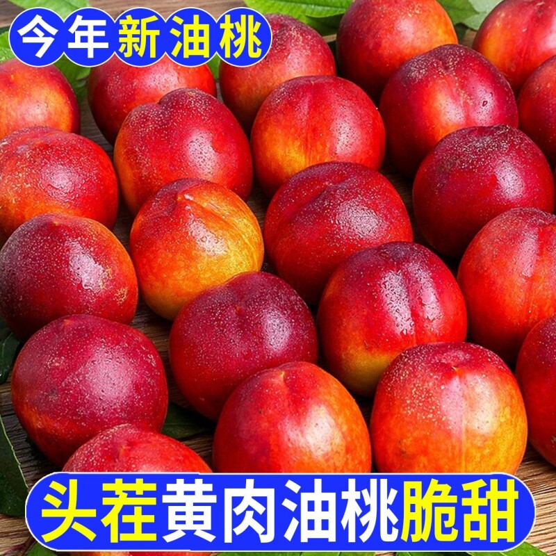 山西运城露天黄心油桃现摘脆甜多汁麻点大果孕妇时令鲜果整箱包邮