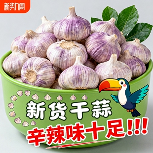 复购款 大蒜头干蒜特大新鲜大蒜整箱新干蒜紫皮腌制调味炒菜散装