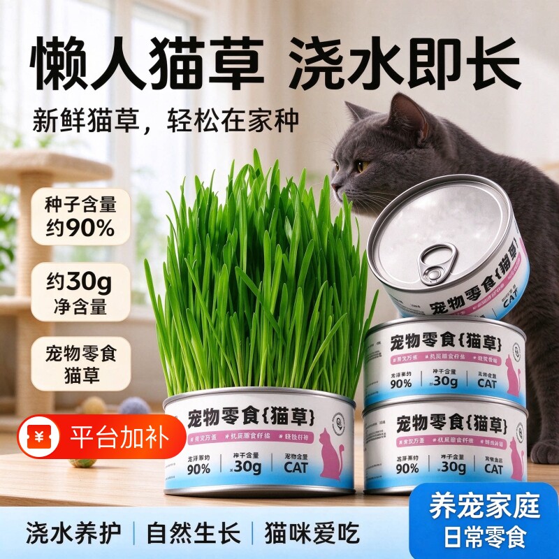 猫草罐头懒人薄荷猫草盆栽种植猫咪零食水栽食物毛化培盆用品种子