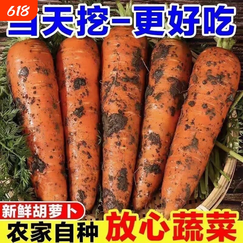 胡萝卜新鲜沙土地新鲜蔬菜现挖现发农家自种胡萝卜时令蔬菜脆甜