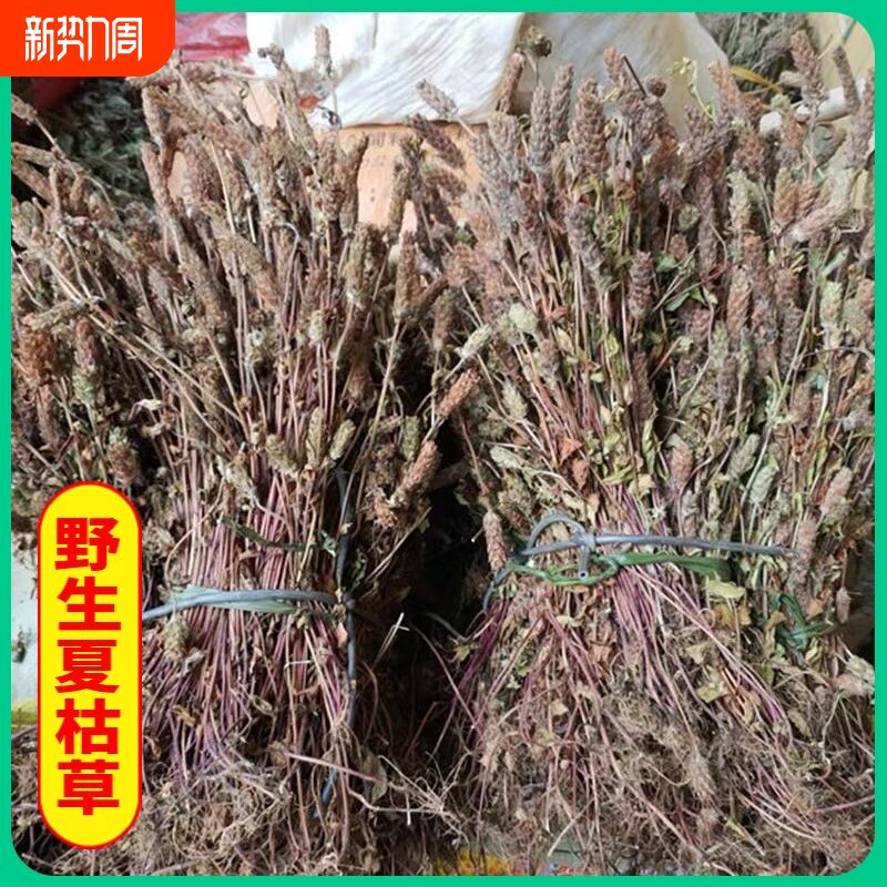 夏枯草野生中药材全草夏枯草夏枯草干货夏枯花新货夏枯草牛抵头